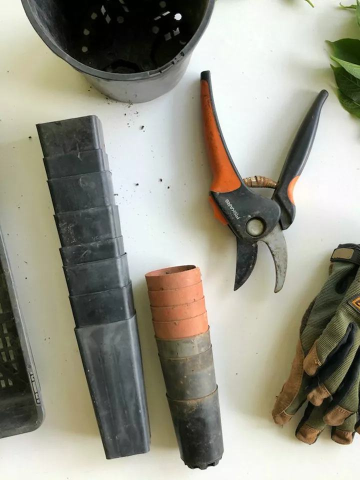 Pruning shears, gloves and plant pots laid out on a table